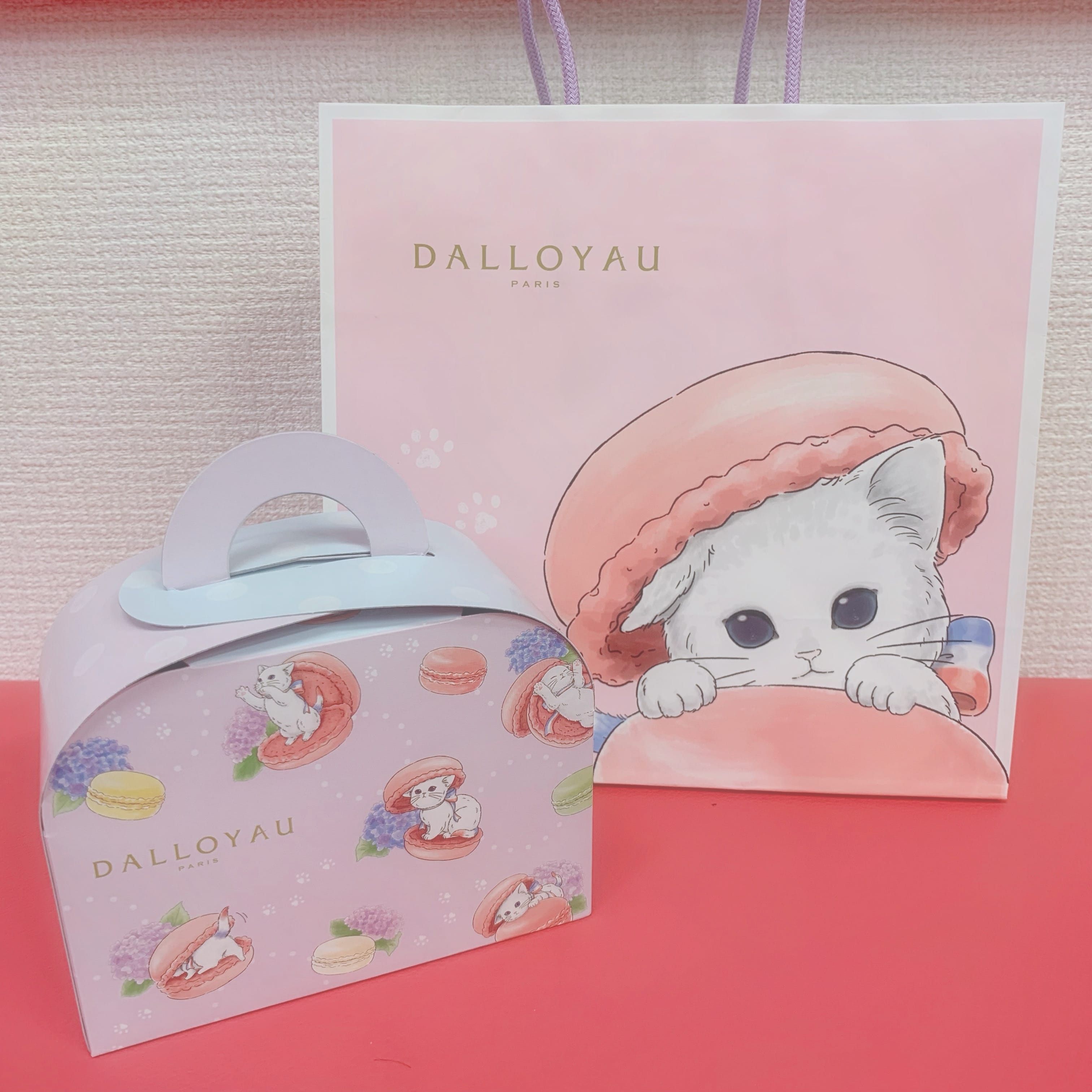 「こんにちは₍ᐢ‥ᐢ₎ ♡」06/28(金) 13:15 | No.18：伏見の写メ