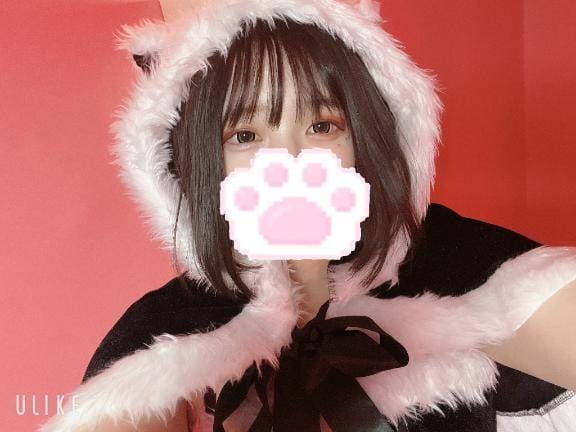 「メリクリ〜✨」12/25(水) 06:56 | ねこの写メ日記