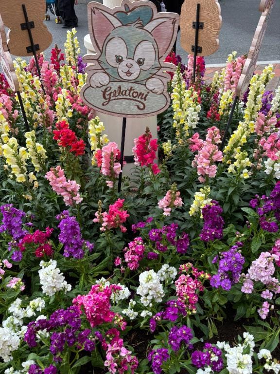 「♡♡おはようございます♡♡」03/15(土) 07:27 | あまみの写メ
