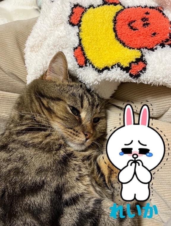 「本日17日(月)ご予約してくださった方へ」03/17(月) 07:27 | れいかの写メ