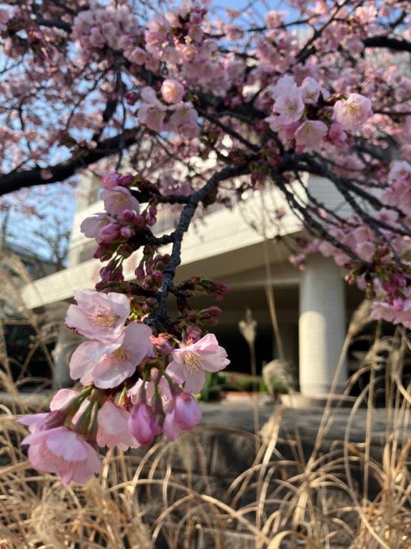 「おはよう☀️」03/17(月) 09:40 | あかりの写メ