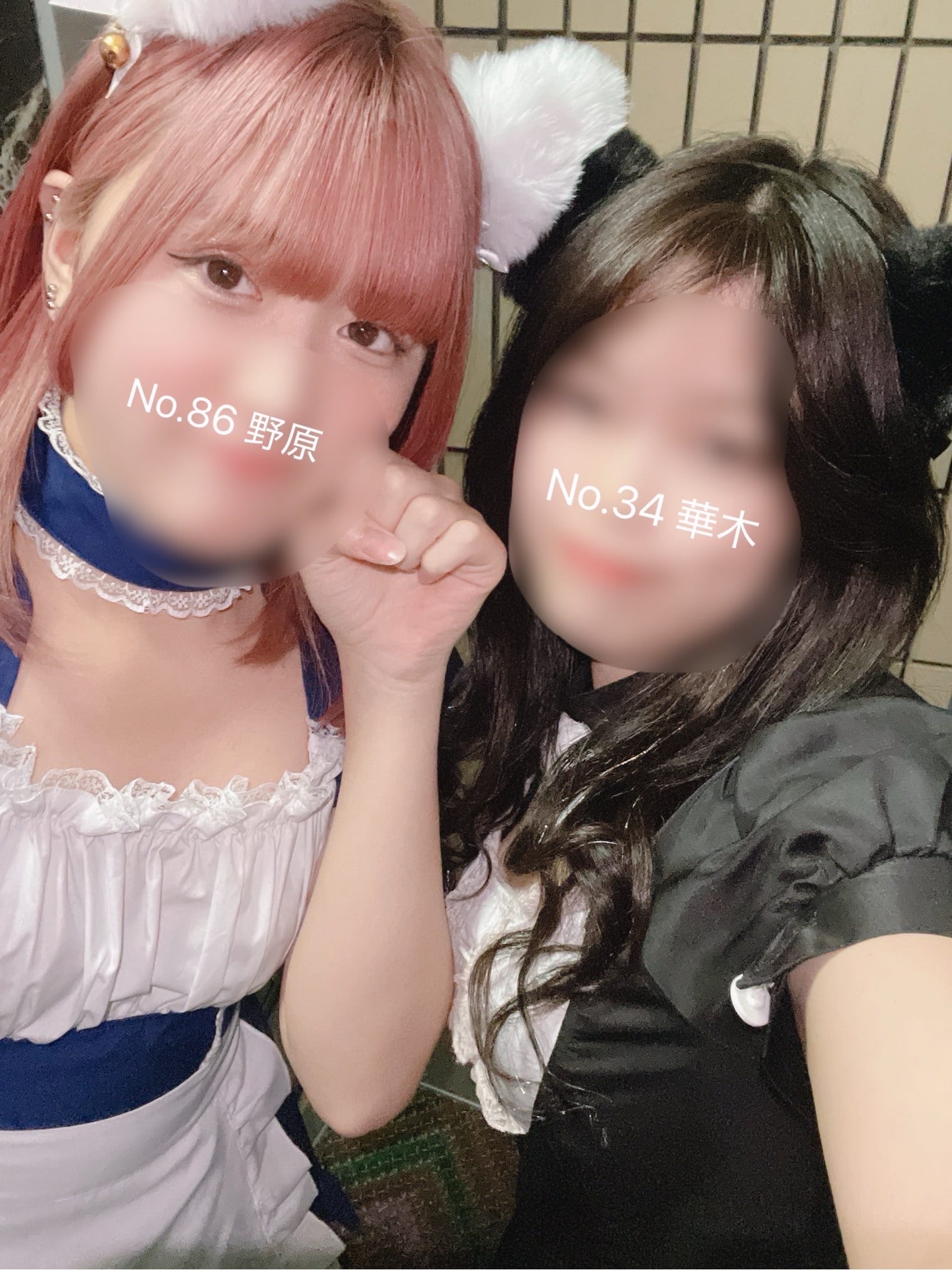 「猫耳メイド❤︎」03/18(火) 18:49 | No.34 華木 の写メ日記