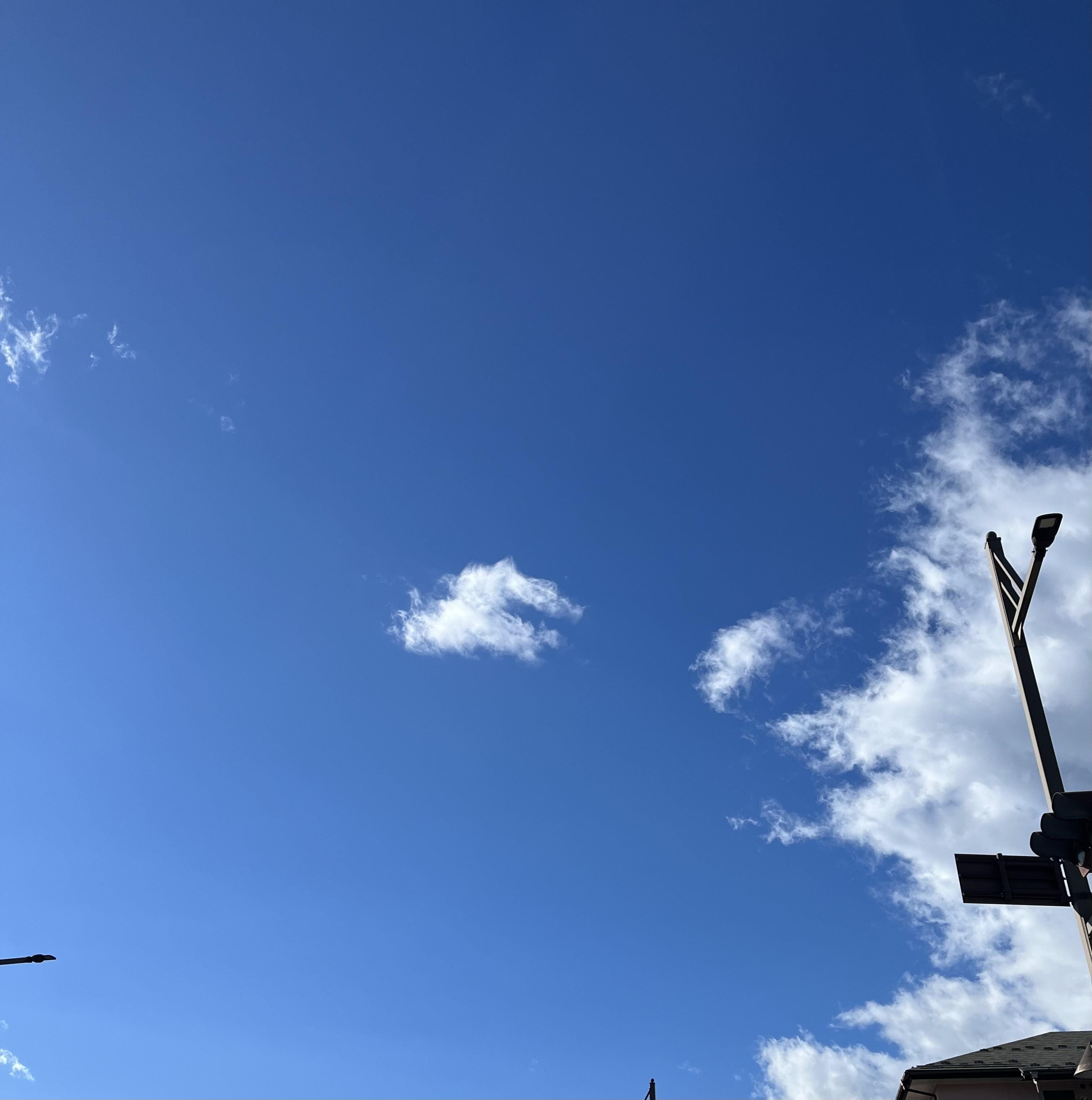 「いい天気……☀️」03/21(金) 09:25 | 桜井の写メ