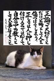 「猫の名言」03/21(金) 22:28 | ゆあの写メ