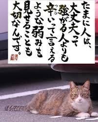 「halo(´ε｀ )♡♡」03/22(土) 13:28 | ゆあの写メ
