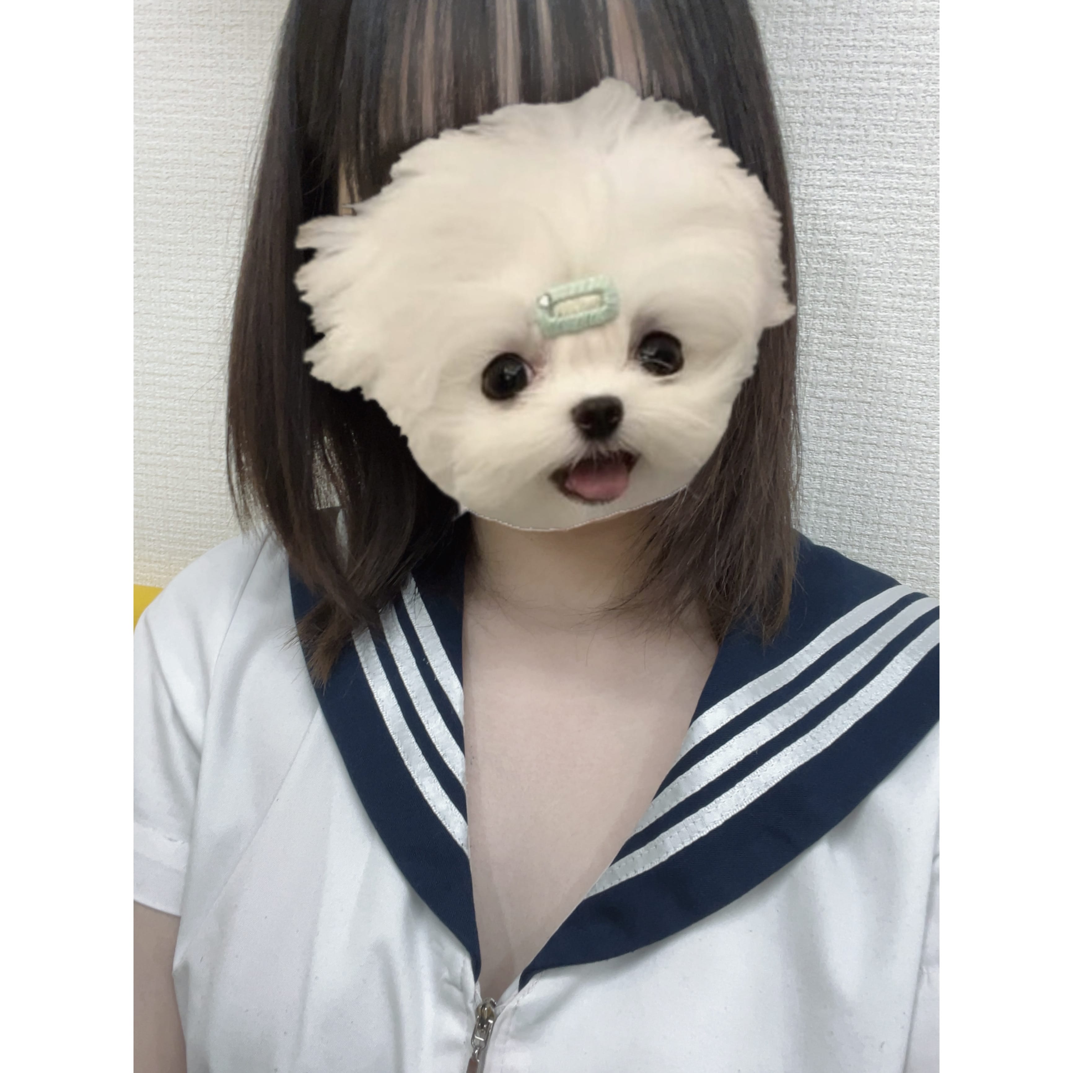 「出勤します^_^」04/17(木) 11:32 | No.47:秋田の写メ