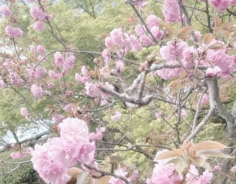 「こんにちはりあです」04/17(木) 17:37 | りあの写メ