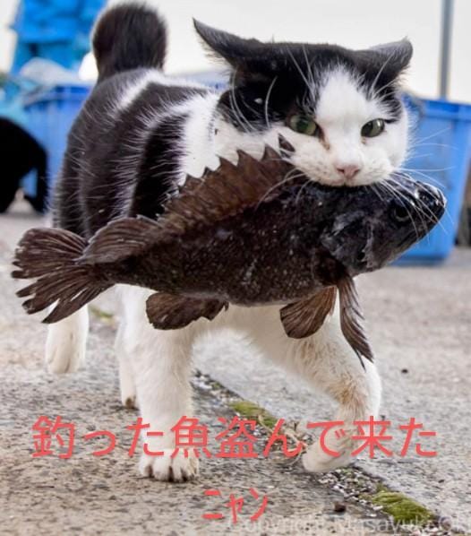 「おはようございます」04/20(日) 09:38 | かおる【青森】の写メ