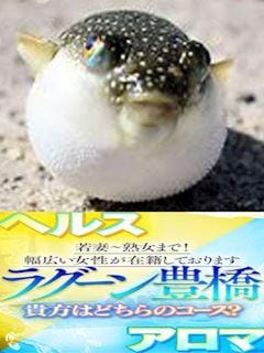 「フリーがお得♪」04/23(水) 01:45 | ハシモトのお得な情報♪の写メ