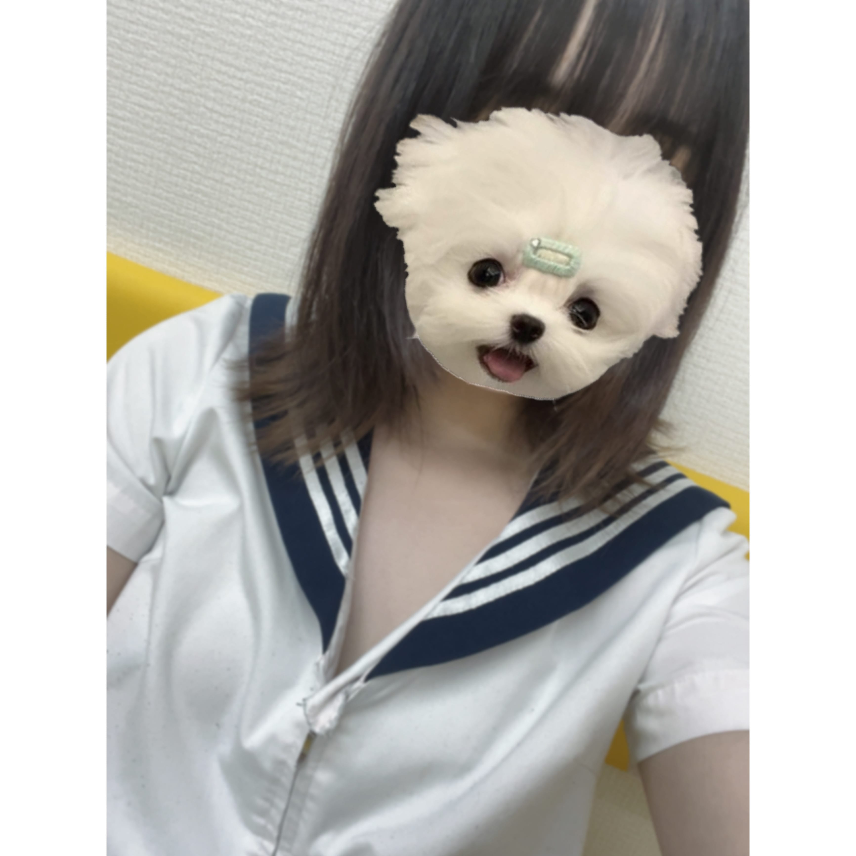 「あと3時間半いるよ^_^」04/25(金) 18:23 | No.47:秋田の写メ