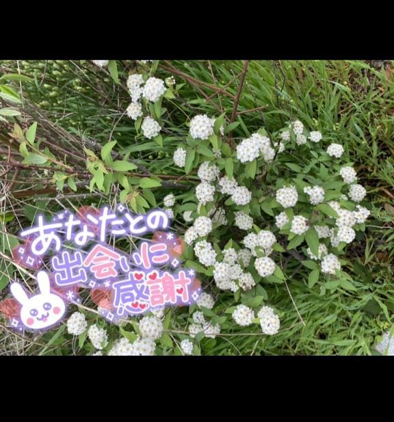 「改めて思うこと♡」04/27(日) 17:00 | めいの写メ