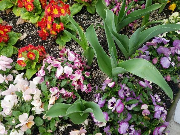 「今週」04/29(火) 10:38 | みさきの写メ
