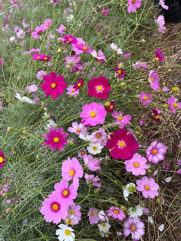 「着いた」05/13(火) 09:33 | めぐ新人の写メ