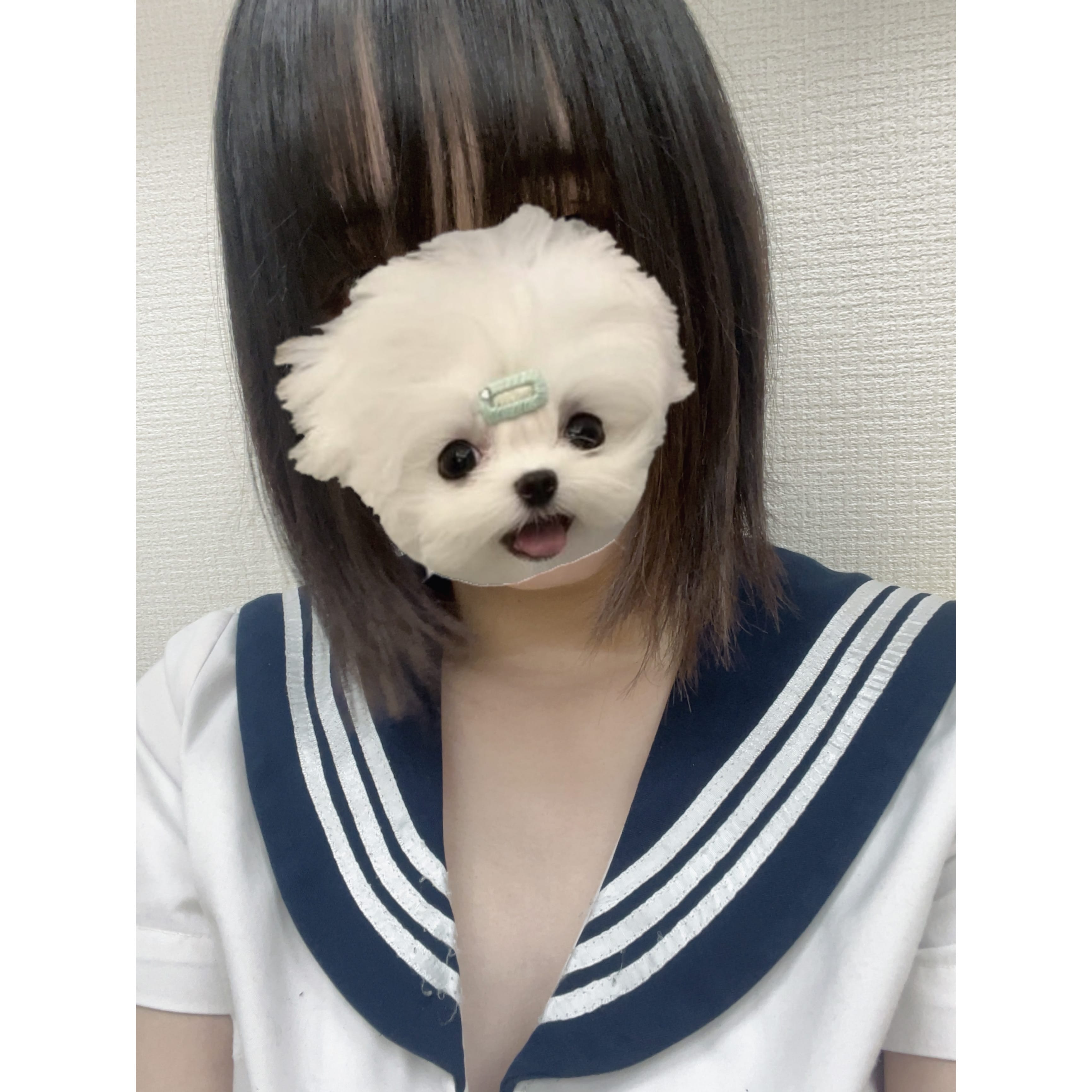 「22時までです( ᴖ ·̫ ᴖ )︎︎」05/13(火) 14:15 | No.47:秋田の写メ