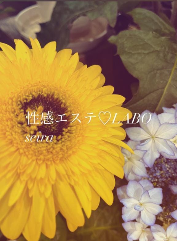 「♥♥」05/14(水) 21:37 | 五十嵐　せいらの写メ