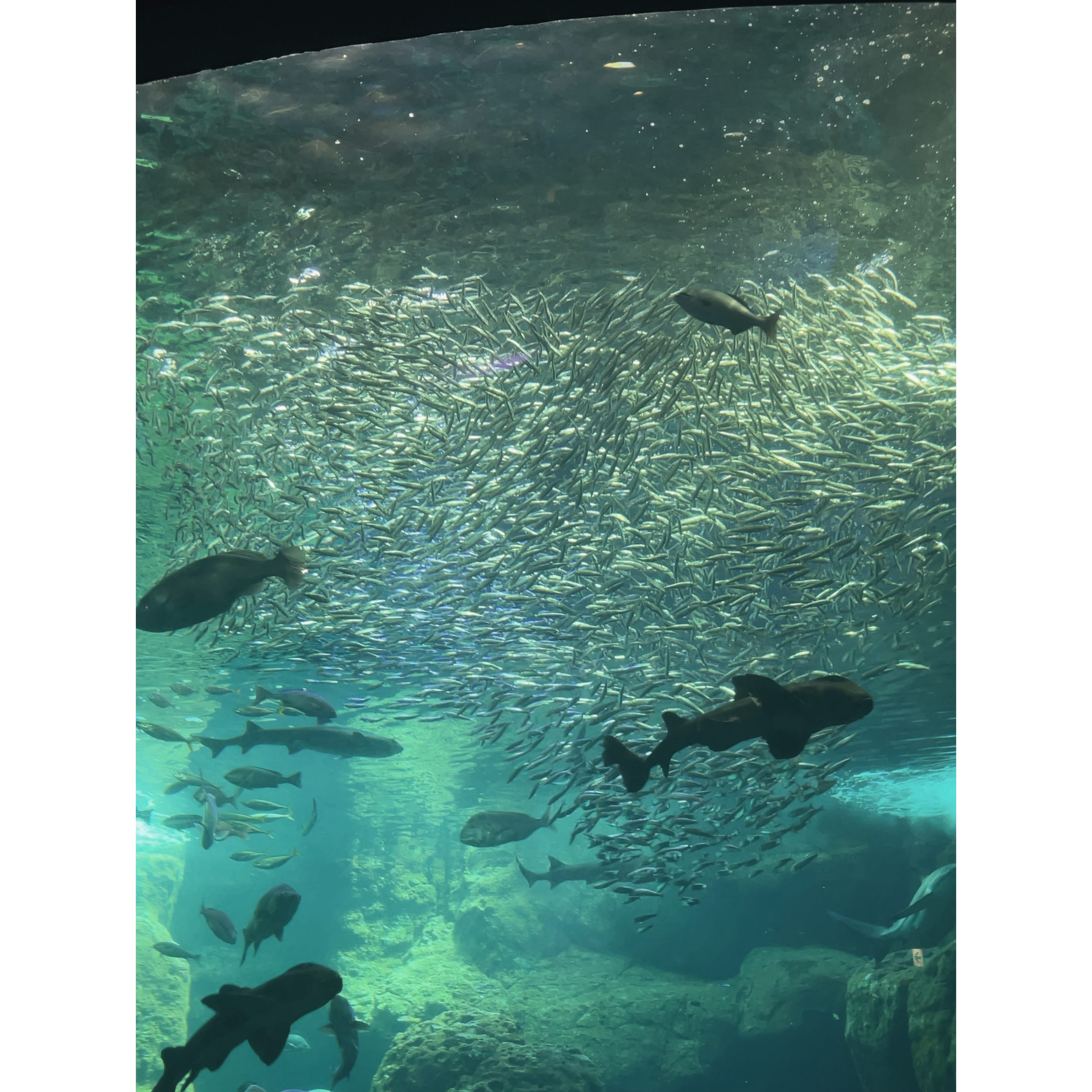 「今日もありがとうございましたっ ̫ 