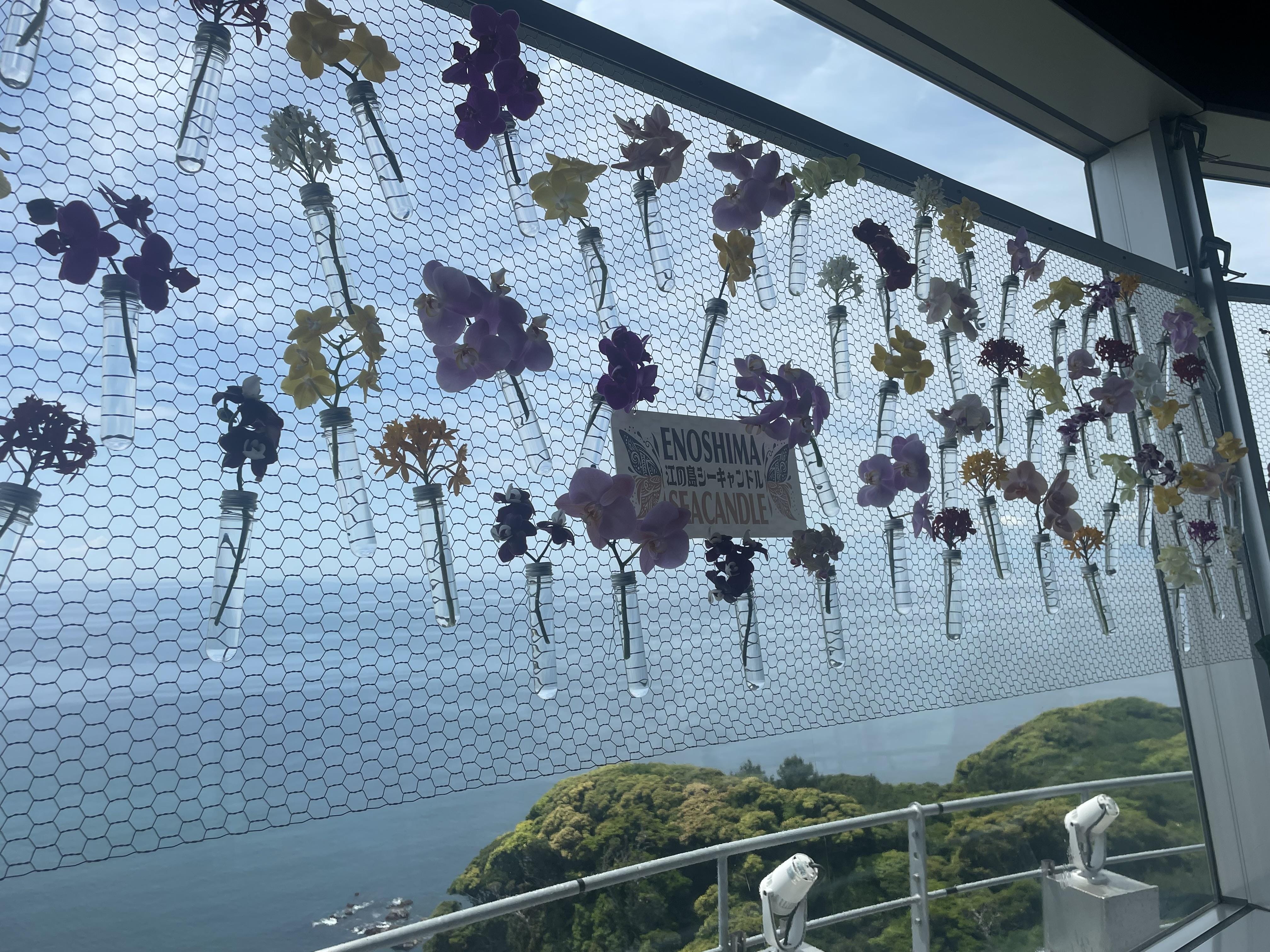 「江ノ島〜」05/18(日) 09:28 | ねねの写メ