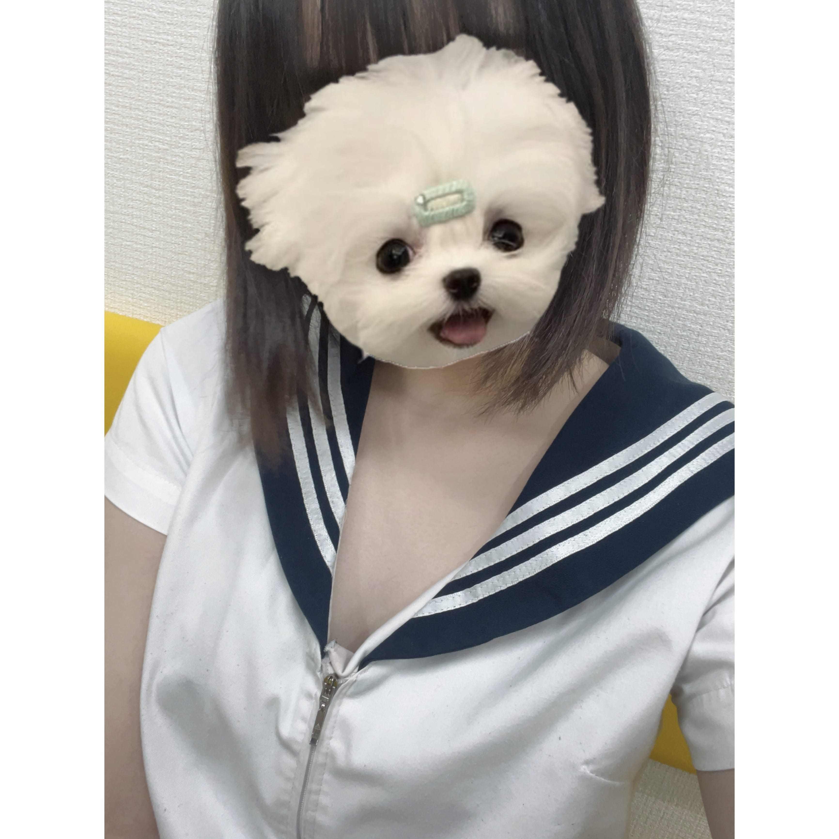 「出勤してます〜〜❣️」05/24(土) 12:21 | No.47:秋田の写メ