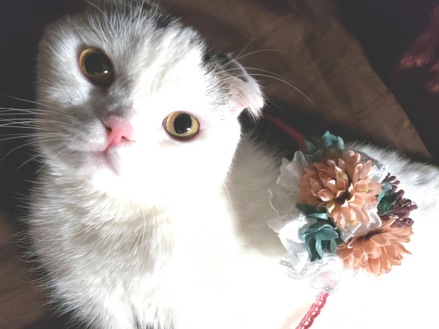 「明日から♡」06/10(火) 16:20 | まなの写メ