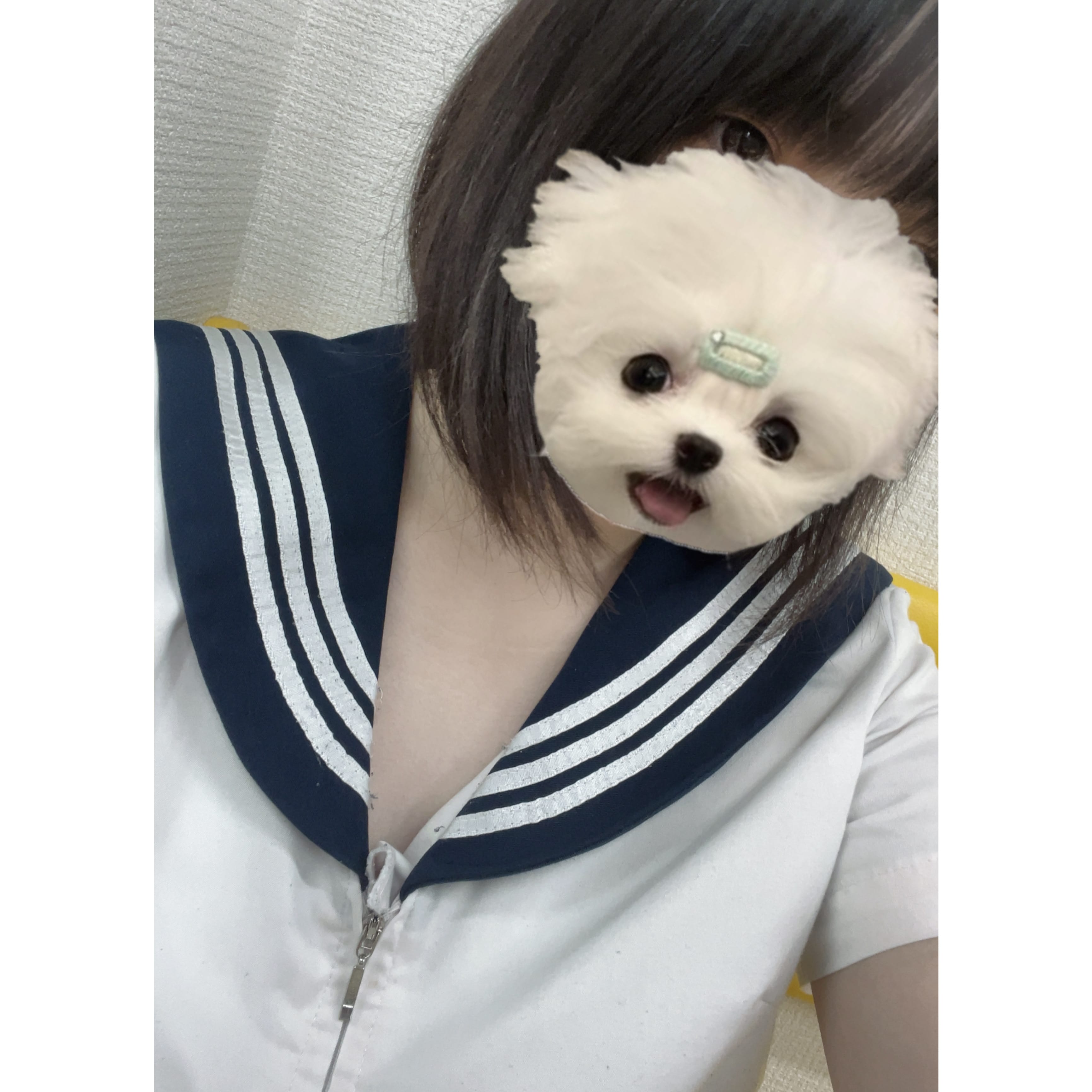 「22時までいます」06/14(土) 16:20 | No.47:秋田の写メ