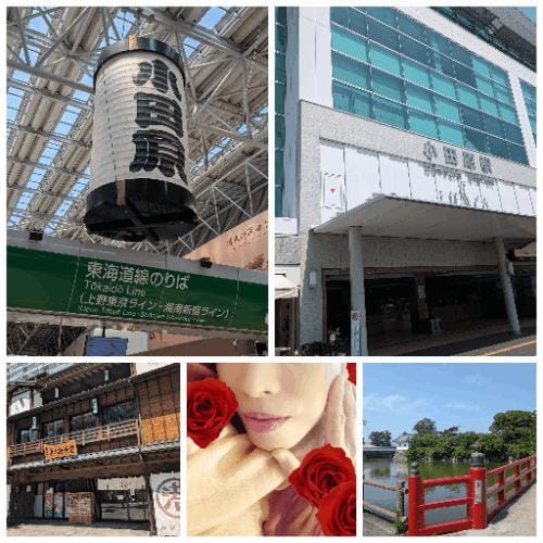 「初小田原」06/20(金) 12:22 | 東京はすみの写メ