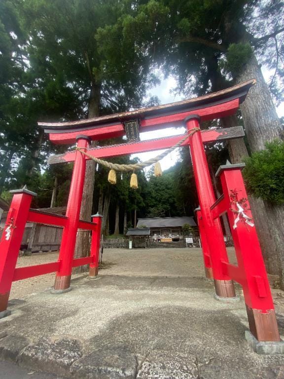 戸隠よかぜ|新宿・歌舞伎町デリヘルの最新写メ日記