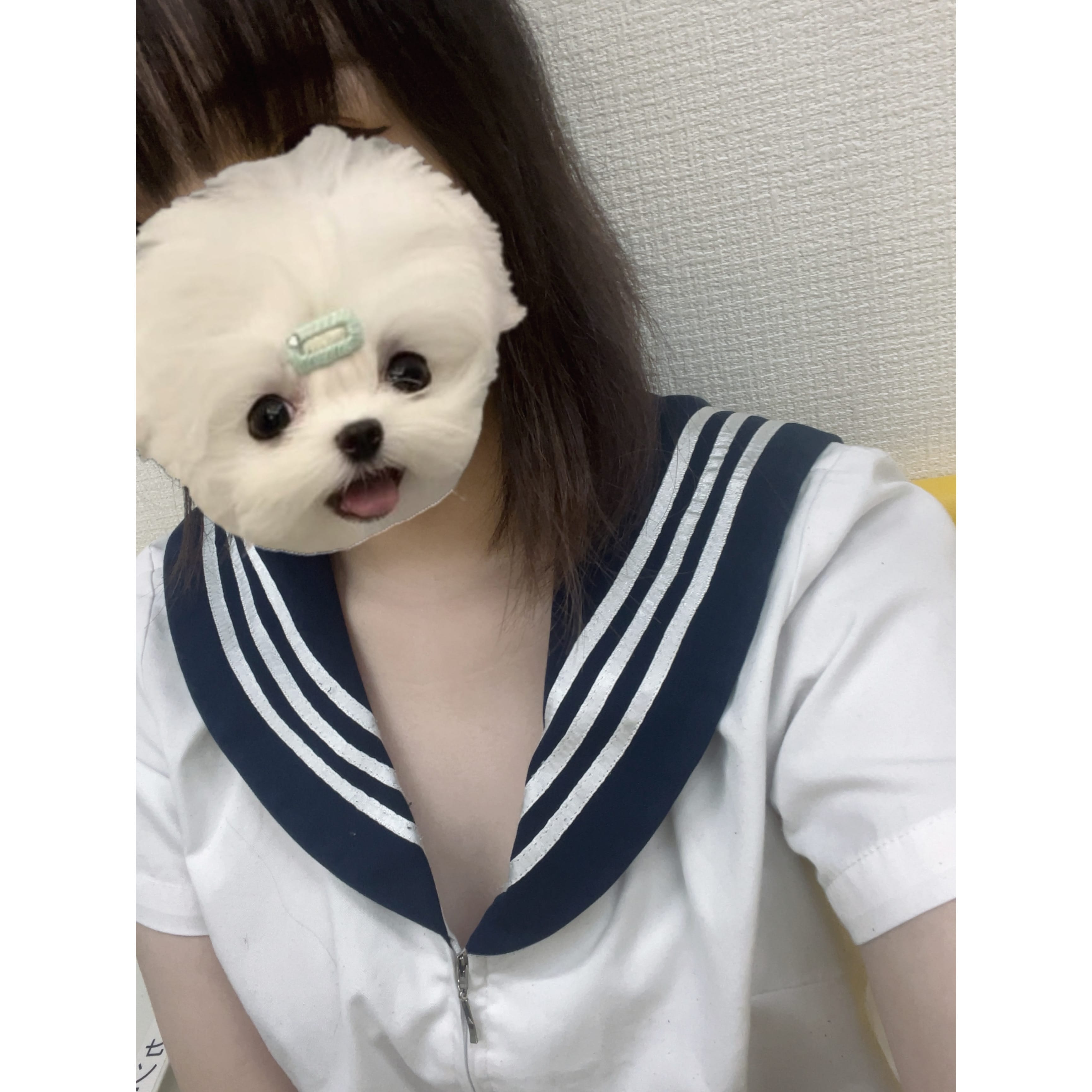 「おはようございます☀️｡°」07/04(金) 12:50 | No.47:秋田の写メ