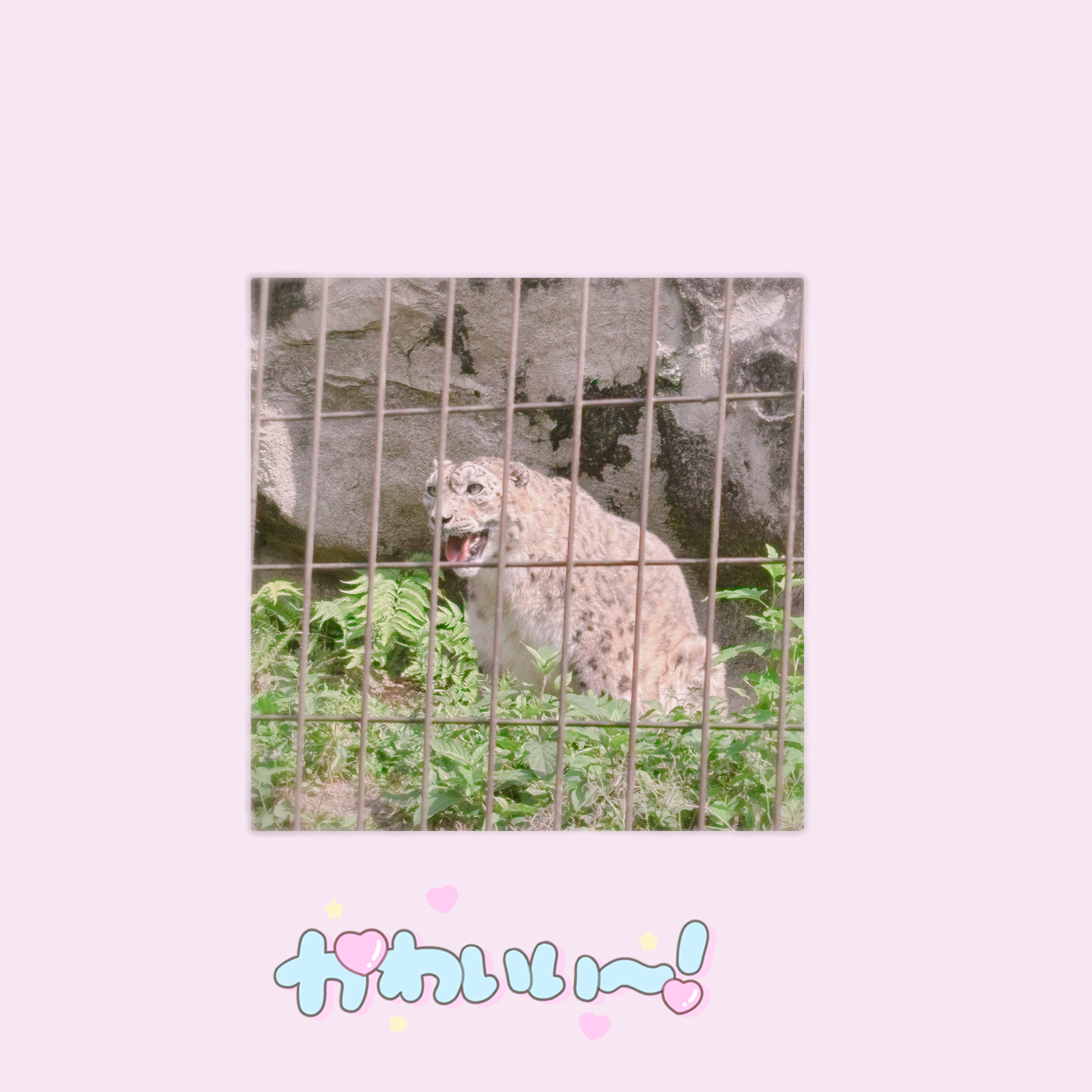 「しゅっきん」07/10(木) 20:08 | No.6:千賀の写メ