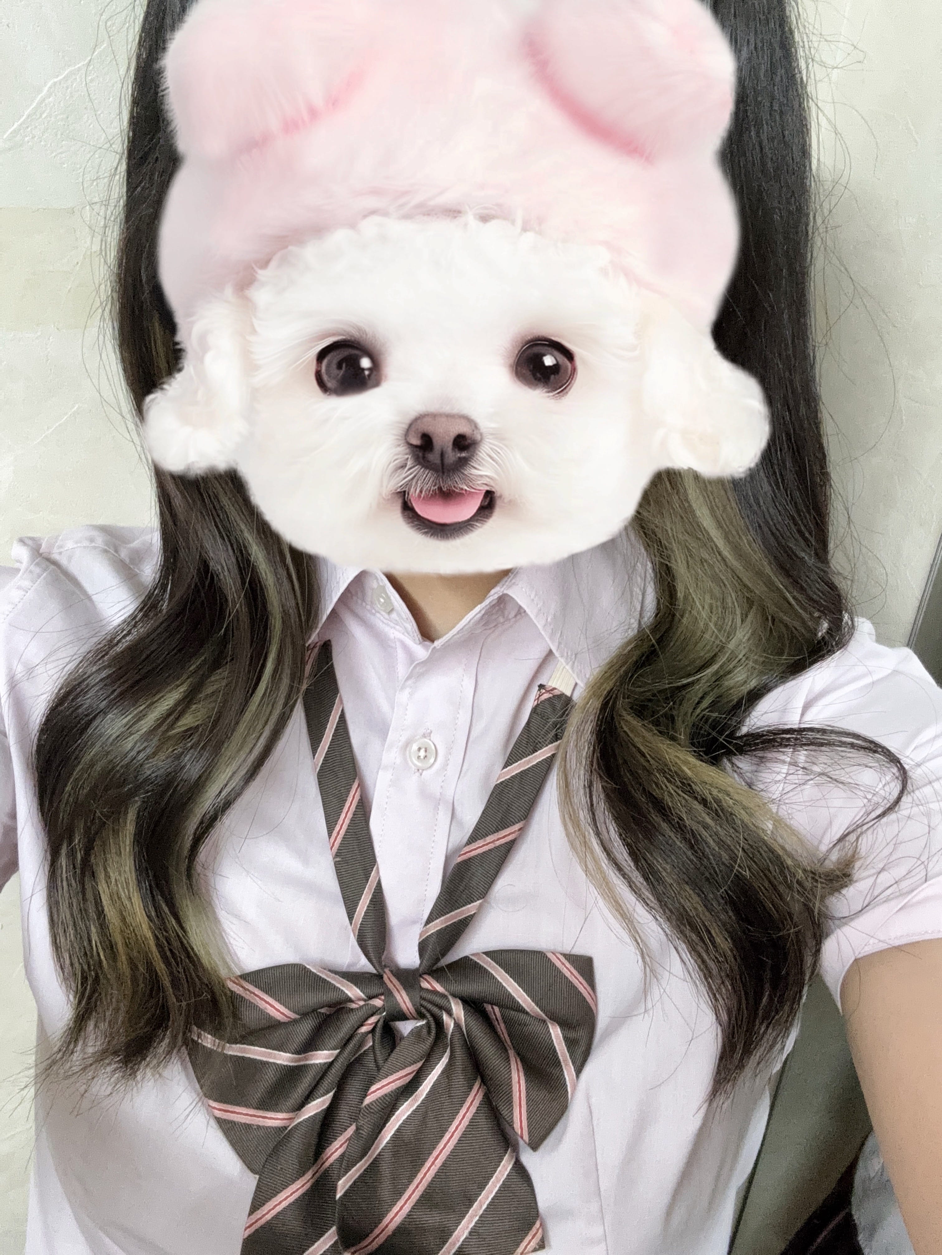夢美