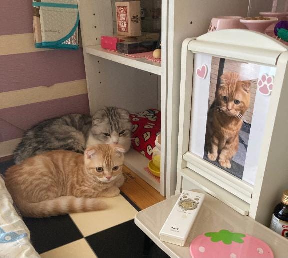 「こんな時間に」07/12(土) 03:09 | 牧野 らぃかの写メ日記
