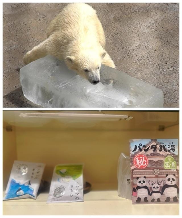 「「肌のおもてなし」でトロけあうひとときを… 本指名の槇野さん」07/14(月) 19:57 | よしこ【松】の写メ日記
