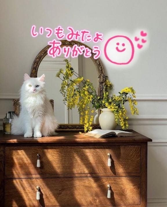 「みたよのお礼」07/18(金) 23:39 | 水沢　琴音の写メ