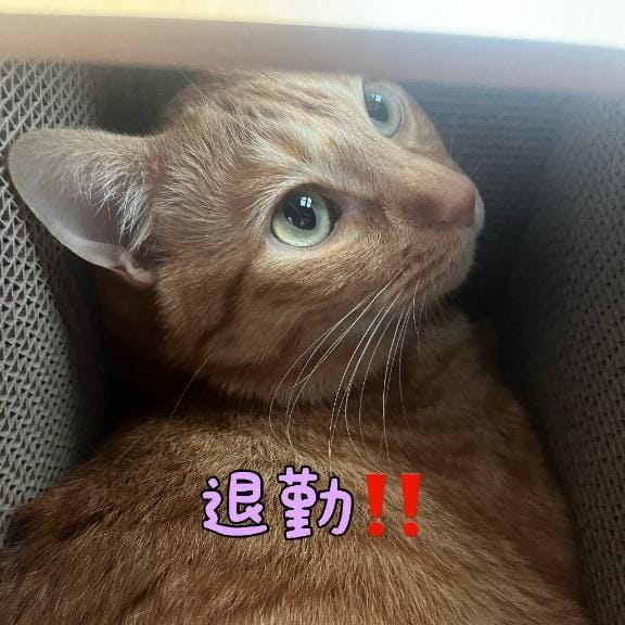ツムギ|埼玉県ソープの最新写メ日記