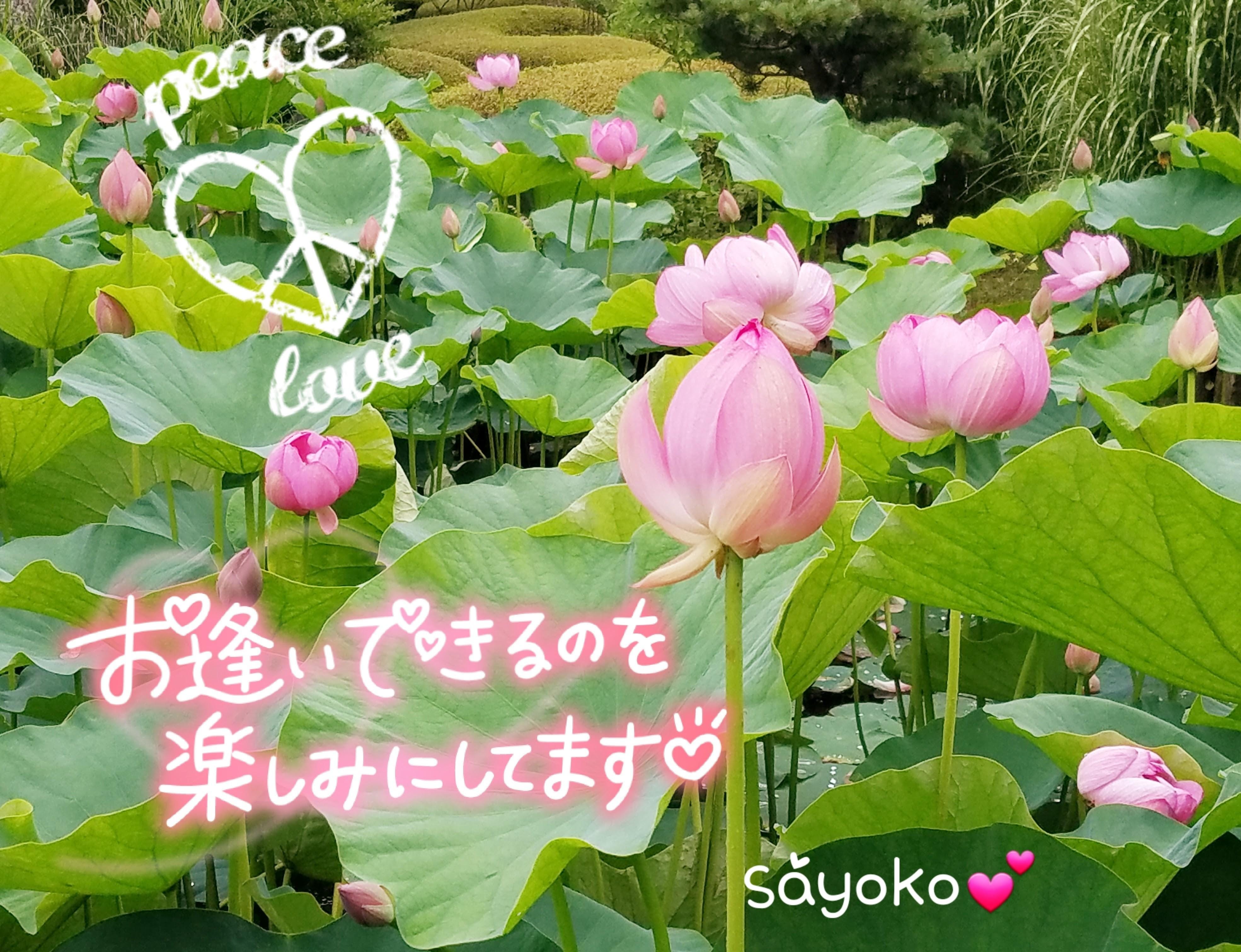 「おはようございます」07/20(日) 09:04 | さよこ　ゴールドの写メ