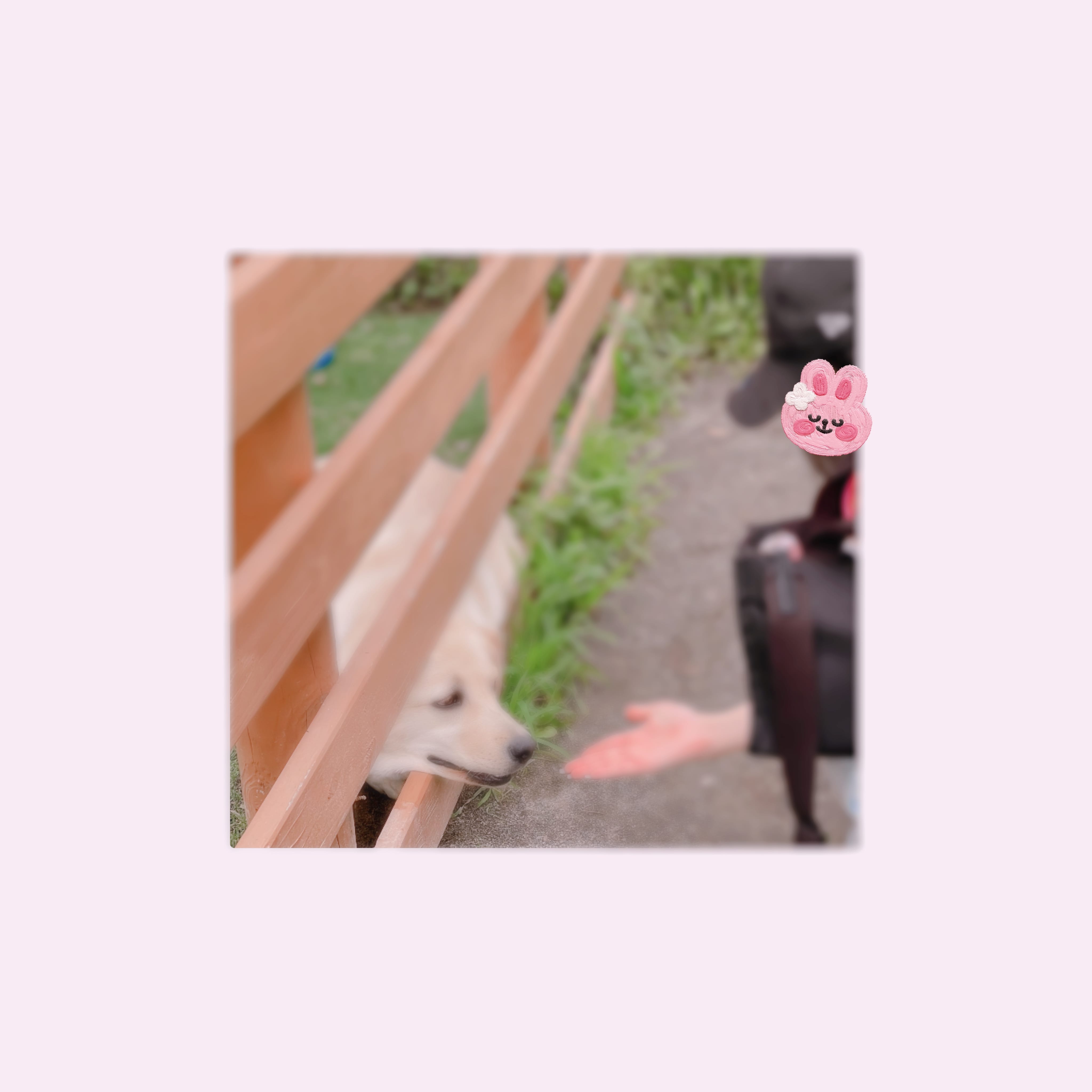 「しゅっきん」07/29(火) 21:13 | No.6:千賀の写メ