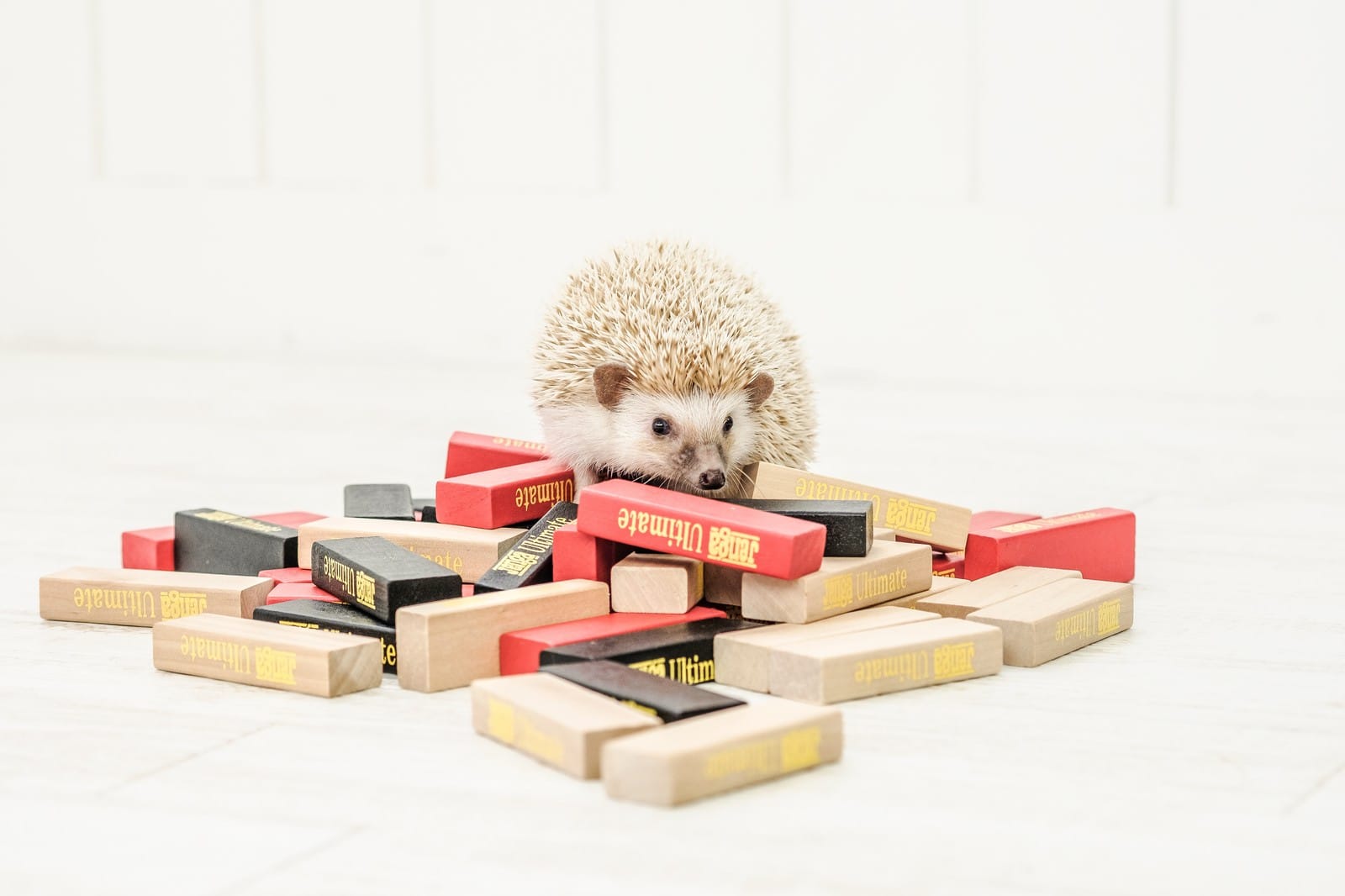 「♡」08/03(日) 18:13 | No.46 東雲の写メ日記