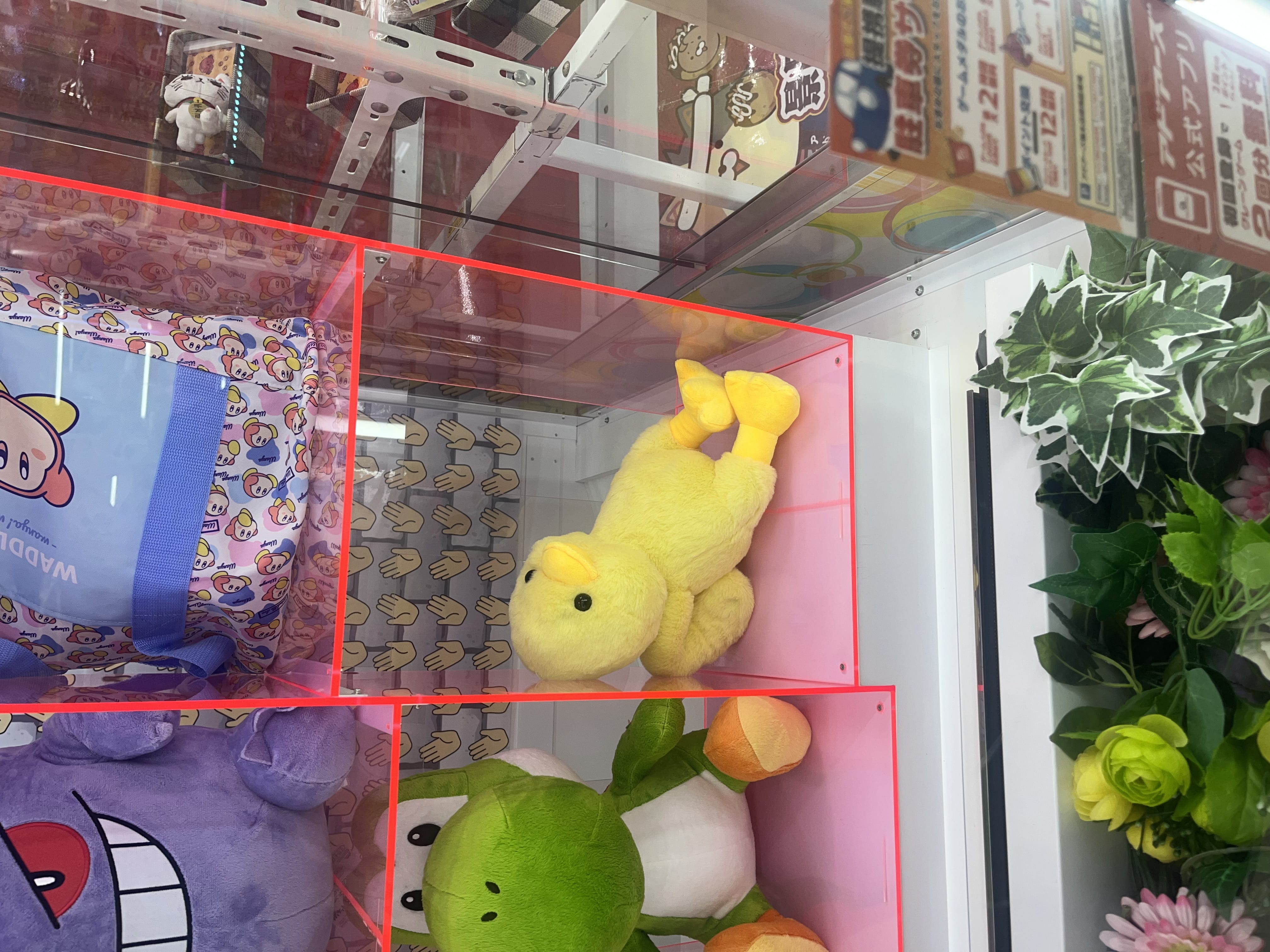 「おれいにっき(  ꜆՞ . .՞)꜆」08/08(金) 21:55 | たまきの写メ