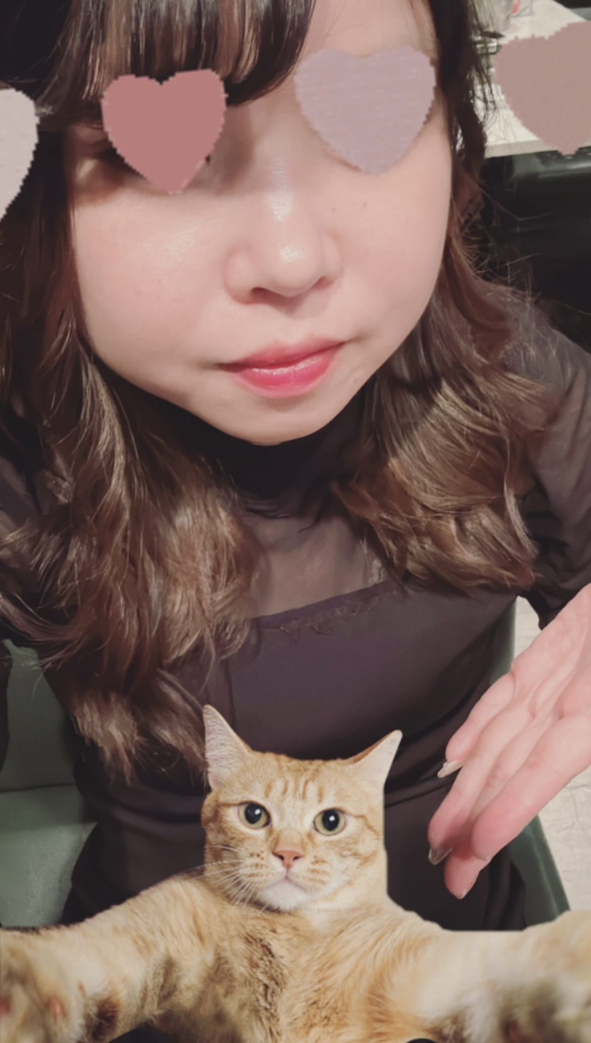 ななせ「ねこさんっ」08/20(水) 21:33 | ななせの写メ