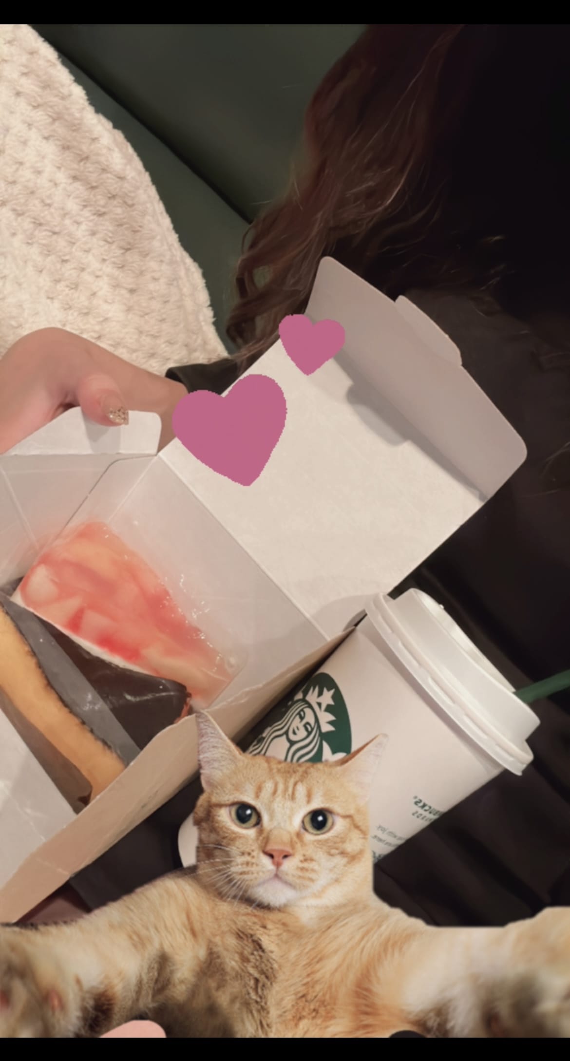 ななせ「猫ちゃんと一緒にスタバさん。」09/11(木) 18:02 | ななせの写メ