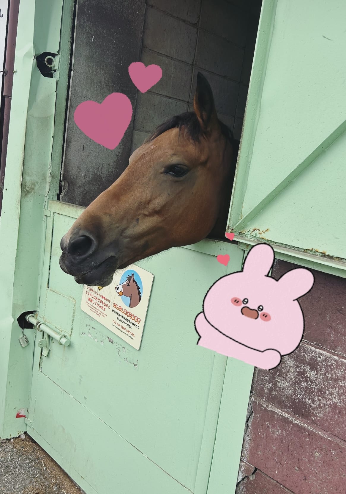 ななせ「お馬さんと牧場のおはなし」09/18(木) 12:31 | ななせの写メ