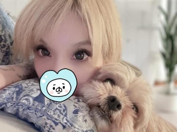 「メガソーラーパネル」09/18(木) 15:48 | 大柴 るう　★★★の写メ日記