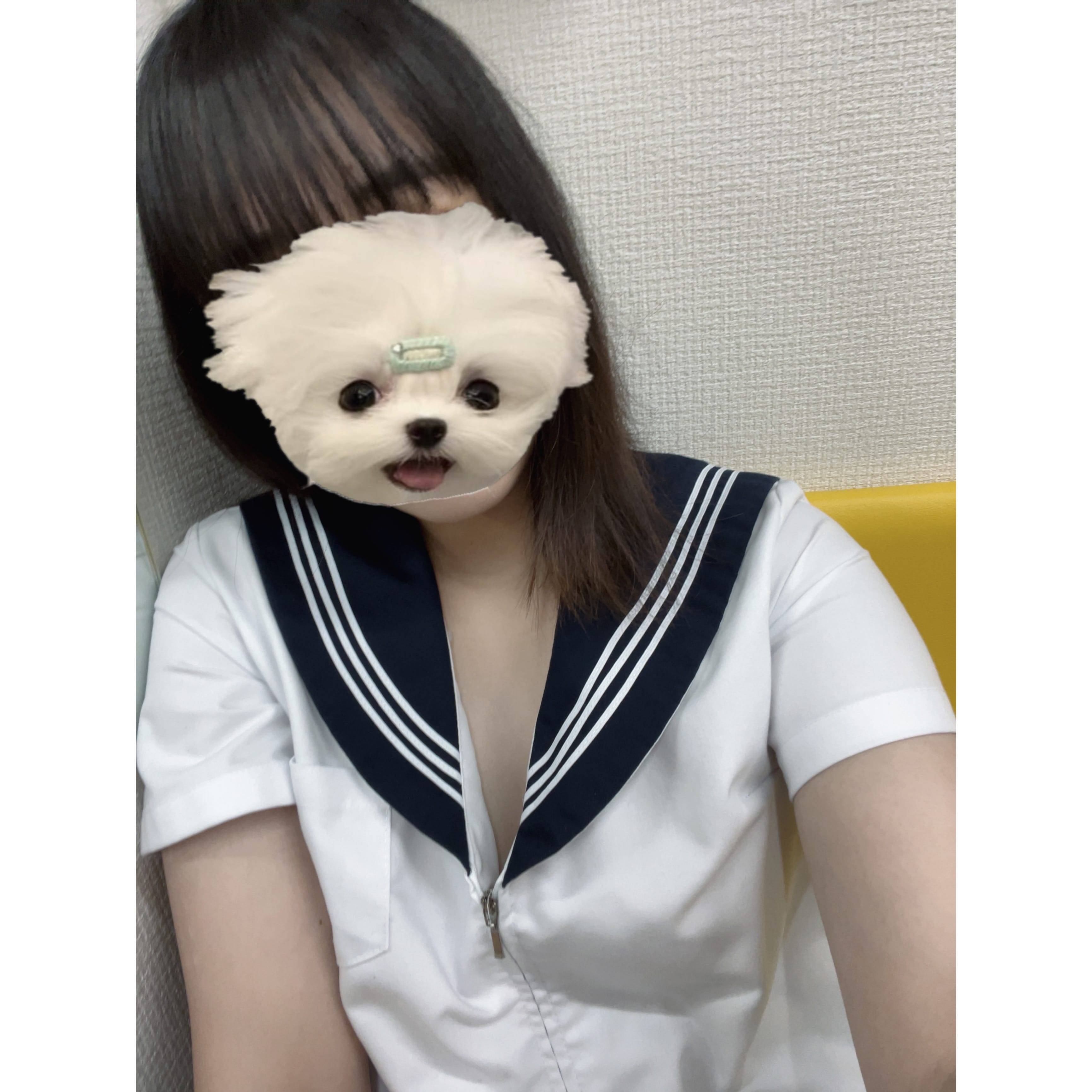 「17時まで出勤」09/26(金) 12:46 | No.47:秋田の写メ