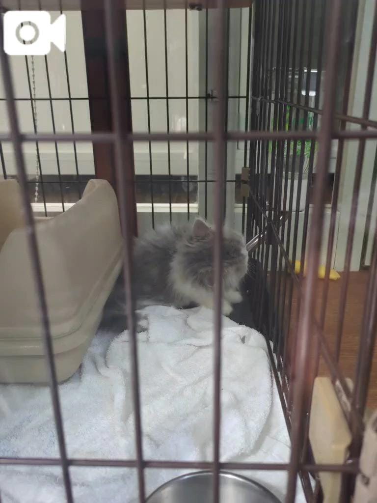 「９月も✨」09/30(火) 22:30 | みほの写メ