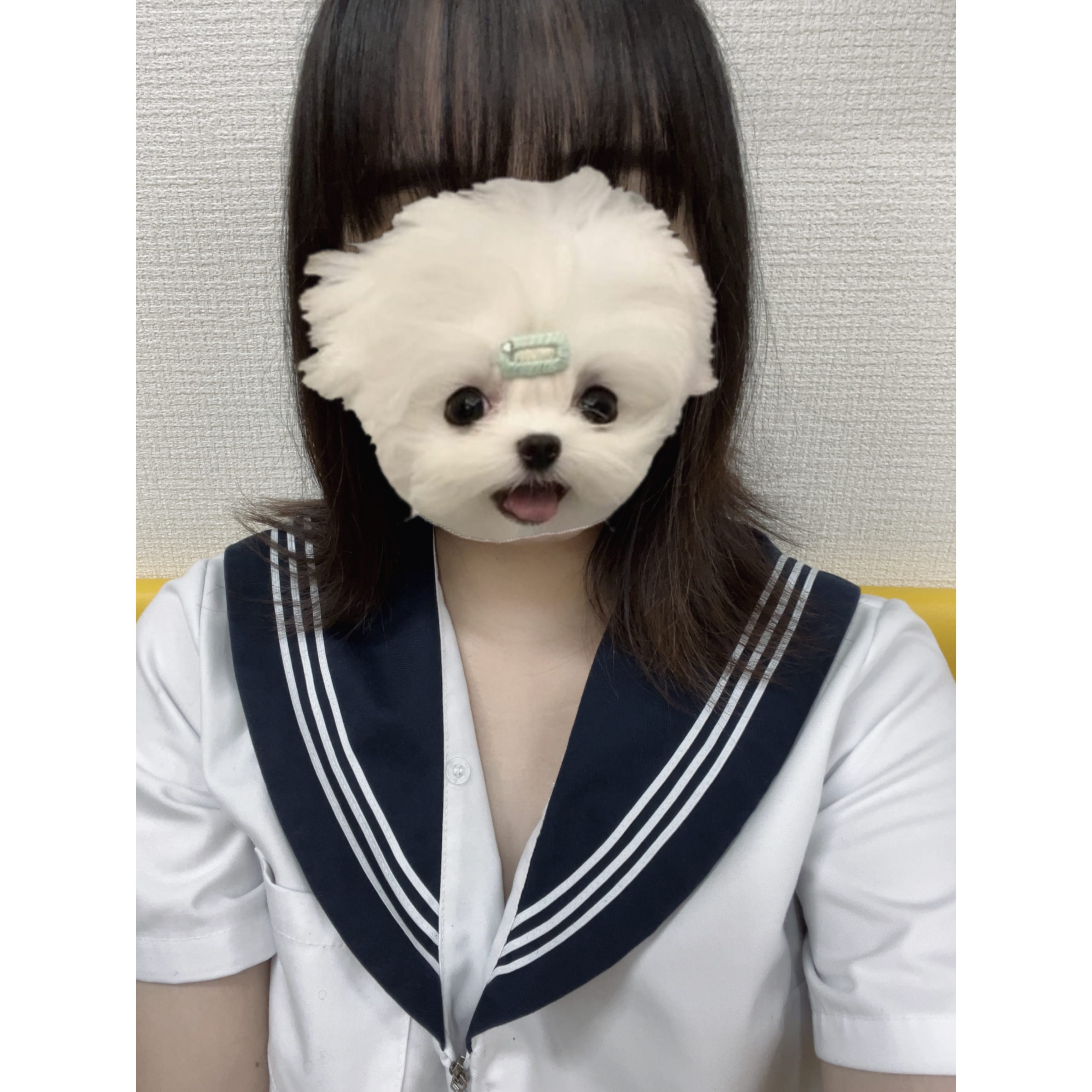 「21時まで出勤中꜀^. ̫.^꜆」10/07(火) 15:42 | No.47:秋田の写メ