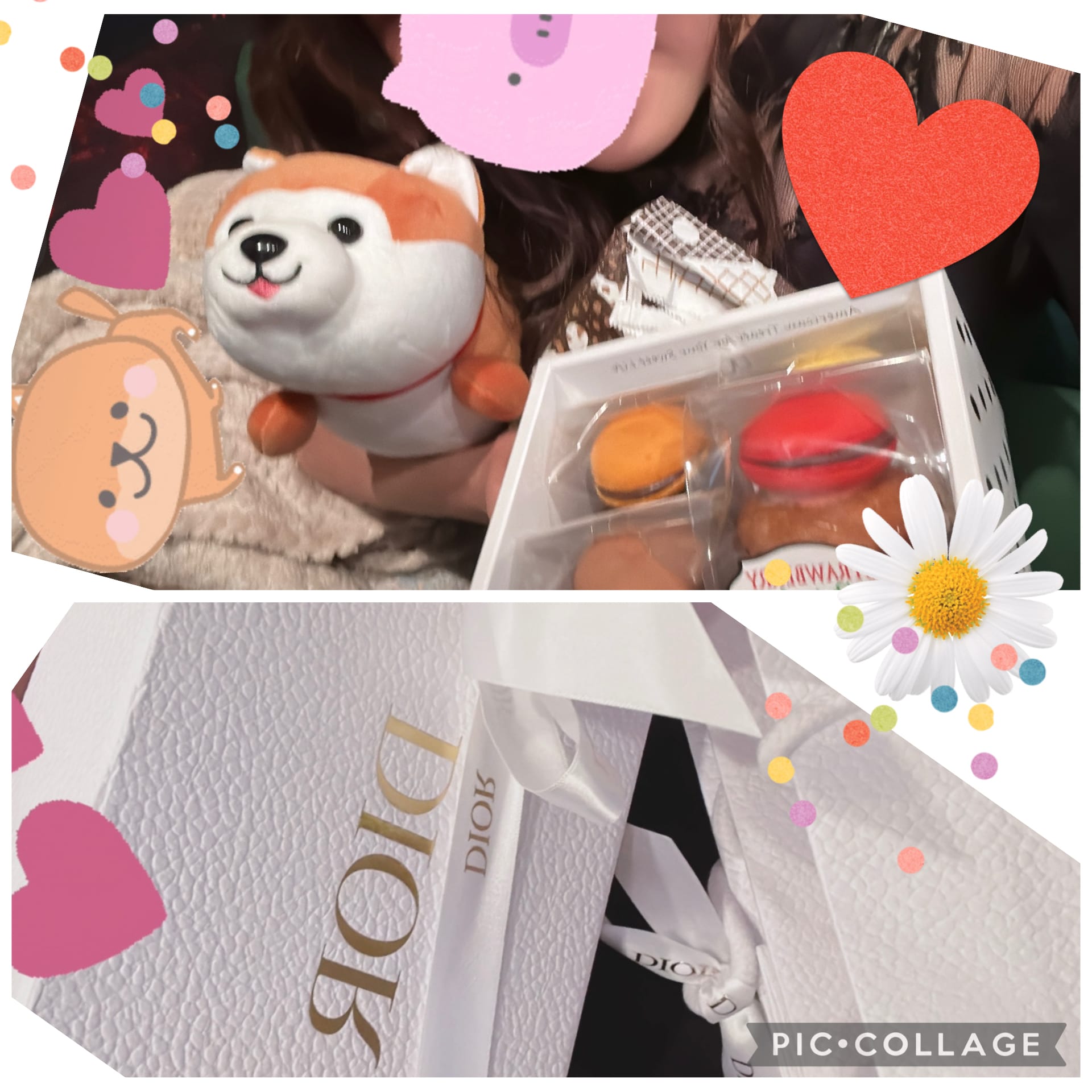 ななせ「お休みの日っわんちゃん。」10/08(水) 14:58 | ななせの写メ