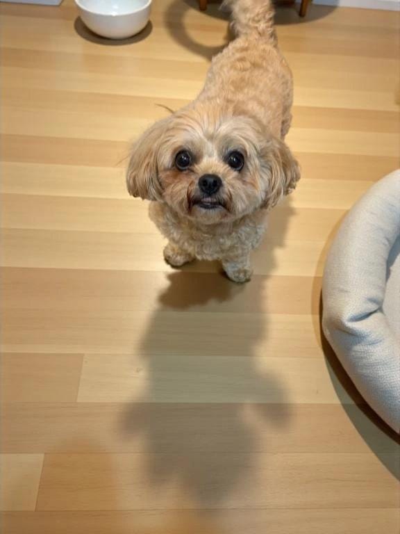 「出勤した」10/11(土) 20:34 | 大柴 るう　★★★の写メ日記