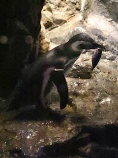 みく「1日の終わり✨️」11/01(土) 19:16 | みくの写メ