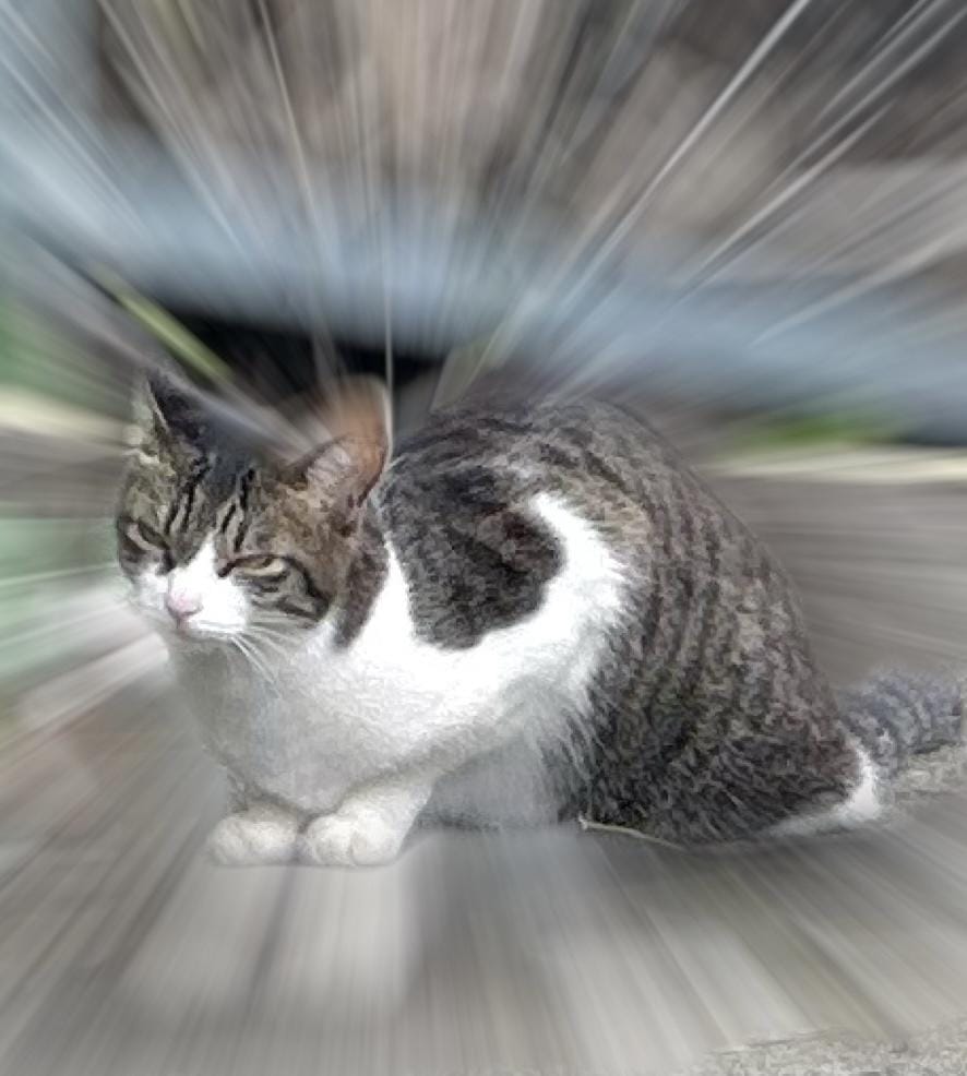 みく「三連休まんなか」11/02(日) 11:49 | みくの写メ