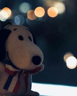 みく「今日もありがとう」11/02(日) 20:02 | みくの写メ