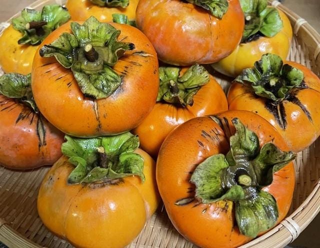 「おはよう」11/03(月) 09:47 | 大原の写メ